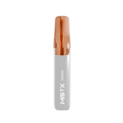 MISTX 鴨嘴獸 一次性電子煙 6500口｜人氣拋棄式小煙