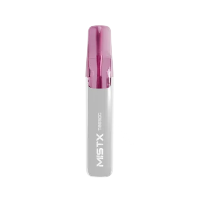 MISTX 鴨嘴獸 一次性電子煙 6500口｜人氣拋棄式小煙