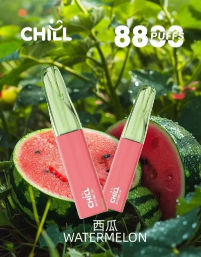 CHILL 8800 Puff 拋棄式電子煙｜穩定輸出 |超強爆煙