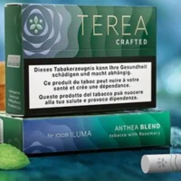 cbalxzks5la.webp 【迷迭香限定新口味】日本版TEREA CRAFTED ANTHEA繁花調 ILUMA專用 整條煙(10包)