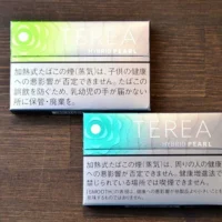 【淡薄荷爆珠】日本菸彈 TEREA煙彈口味 IQOS ILUMA專用 TEREA加熱菸整條煙(10包)