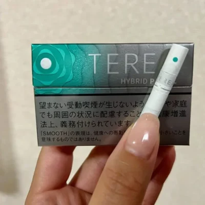 【淡薄荷爆珠】日本菸彈 TEREA煙彈口味 IQOS ILUMA專用 TEREA加熱菸整條煙(10包)