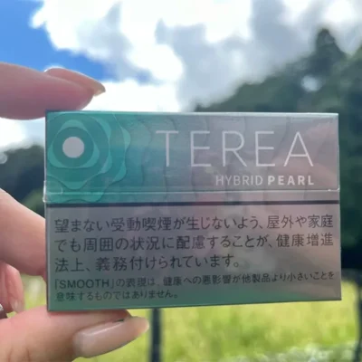 【淡薄荷爆珠】日本菸彈 TEREA煙彈口味 IQOS ILUMA專用 TEREA加熱菸整條煙(10包)