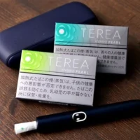 【淡薄荷爆珠】日本菸彈 TEREA煙彈口味 IQOS ILUMA專用 TEREA加熱菸整條煙(10包)