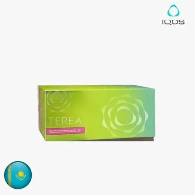 【抹茶Green Zing】哈版IQOS 煙彈ILUMA加熱菸主機專用 三天到貨 整條TEREA煙彈10包