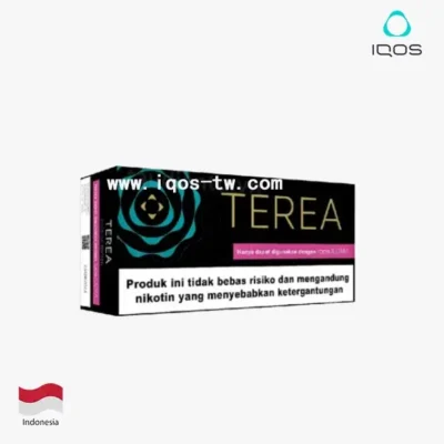 【翡翠薄荷】亞洲版Indonesia印尼ILUMA 煙彈 IQOS ILUMA專用 整條10包 三天到貨