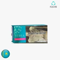 【薄荷味】IQOS-煙彈ILUMA主機專用-清冽冰涼-整條煙10包-1.webp 【薄荷味】哈版IQOS菸彈 ILUMA加熱菸主機專用 三天到貨 整條TEREA煙彈10包