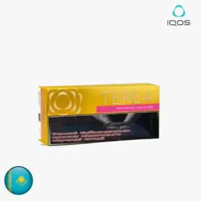 【黃原味】哈版IQOS煙彈口味 ILUMA加熱菸主機專用 三天到貨 整條TEREA煙彈10包