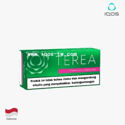 【淡薄荷】亞洲版Indonesia印尼IQOS菸彈 IQOS ILUMA專用 整條10包 三天到貨