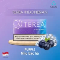 新IQOS印尼01-1.webp 【紫波葡萄】亞洲版Indonesia印尼ILUMA 煙彈 IQOS ILUMA專用 整條10包 三天到貨