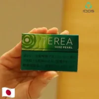 新IQOS煙彈日本加熱菸口味-麝香葡萄爆珠TEREA煙彈-1.webp 【麝香葡萄爆珠新口味】日本IQOS煙彈 麝香葡萄爆珠 IQOS ILUMA主機專用 TEREA煙彈10包裝