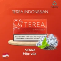 琥珀1-2.webp 【琥珀】亞洲版Indonesia印尼IQOS煙彈口味 IQOS ILUMA專用 整條10包 三天到貨