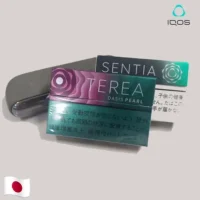 【綠洲珍珠/爆珠】日本版 TEREA煙彈 IQOS ILUMA專用 IQOS煙彈 整條煙(10包)